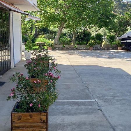 Apartment-Rooms Preka Palit Εξωτερικό φωτογραφία